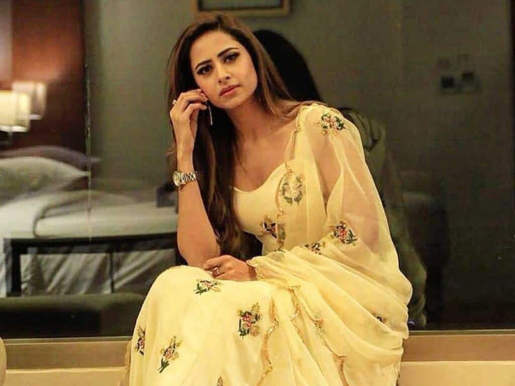 Comprehensive Overview of Sargun Mehta's Life and Career Highlights