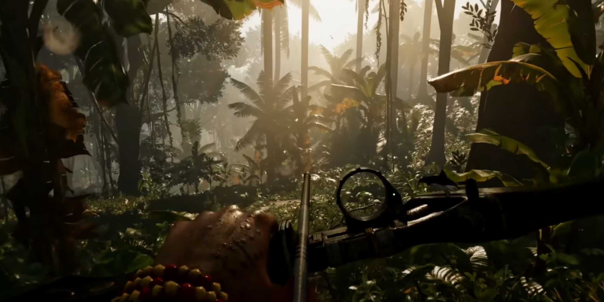 New Insights and Speculation Surrounding the Next Installment in the Far Cry Series