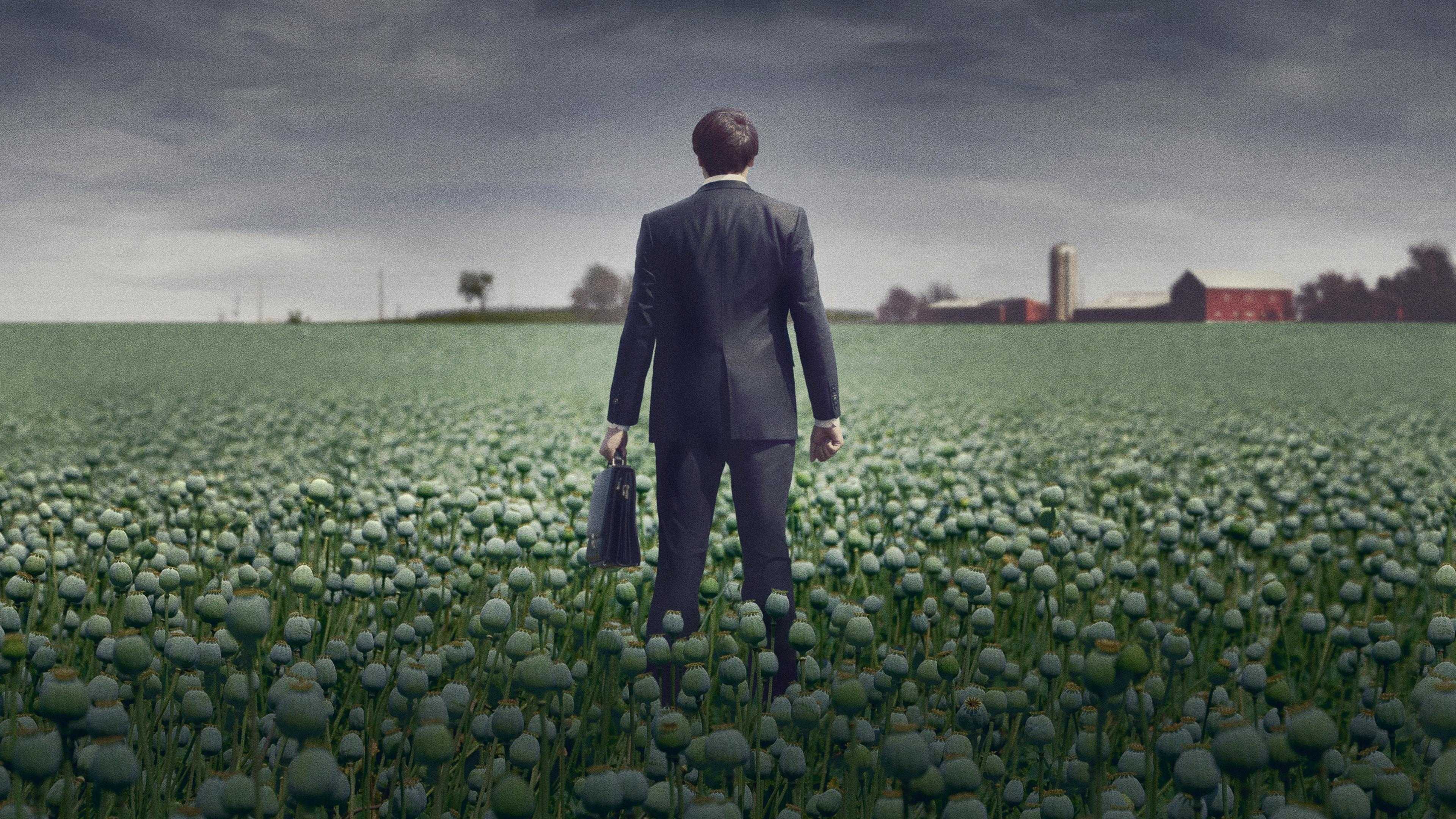 Top 10 Must-Watch Documentaries on HBO Max in 2026